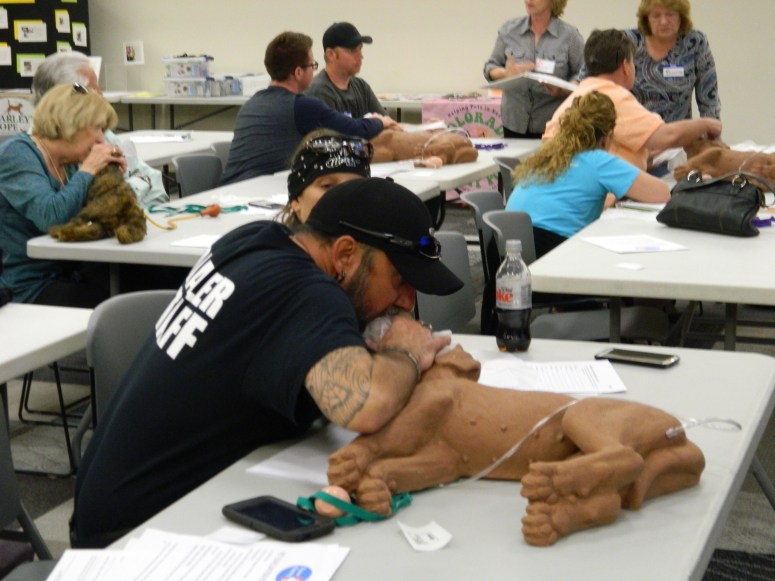 CPR Class 025