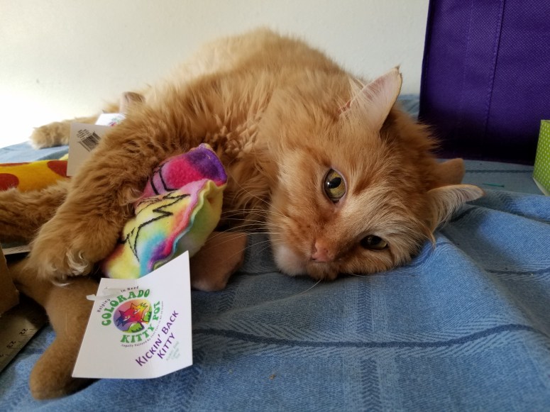 Ace and her CKP toys