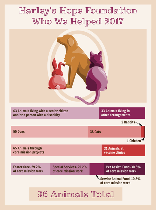 2017 demographics info (2)