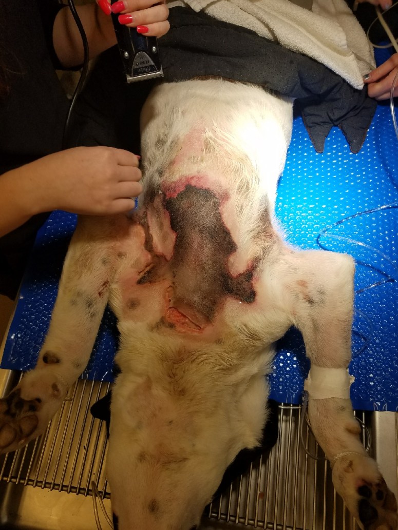 Major Pre-Op (2).jpg