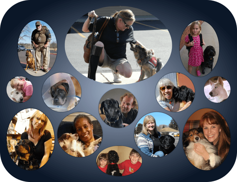 service dog collage.png