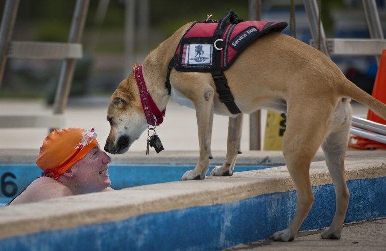 swimmer-service dog